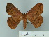  ( - BC-CGCM 25.131)  @12 [ ] Unspecified (default): All Rights Reserved  Unspecified Unspecified