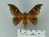  ( - BC-CGCM 25.365)  @14 [ ] Unspecified (default): All Rights Reserved  Unspecified Unspecified