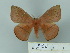  ( - BC-CGCM 25.585)  @14 [ ] Unspecified (default): All Rights Reserved  Unspecified Unspecified