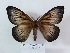 ( - BC-CGCM 5.900)  @14 [ ] Unspecified (default): All Rights Reserved  Unspecified Unspecified