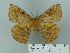  ( - BC-DZ 22.425)  @13 [ ] Unspecified (default): All Rights Reserved  Unspecified Unspecified