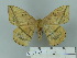  ( - BC-DZ 22.625)  @13 [ ] Unspecified (default): All Rights Reserved  Unspecified Unspecified