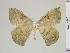 ( - BC-DZ-9.867)  @14 [ ] Copyright (2010) Unspecified Research Collection of Carlos Mielke
