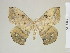  ( - BC-DZ-9.899)  @14 [ ] Copyright (2010) Unspecified Research Collection of Carlos Mielke