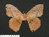  ( - BC-CGCM 23.556)  @13 [ ] Copyright (2017) Carlos Mielke Research Collection of Carlos G. C. Mielke