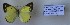  ( - AVK206)  @11 [ ] Copyright (2018) Alex Kiryanov Private collection of Alexander V Kiryanov