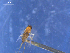 ( - SAEVG_Morph0122)  @11 [ ] Unspecified (default): All Rights Reserved  Unspecified Unspecified