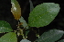  ( - AM0205)  @11 [ ] CreativeCommons - Attribution Non-Commercial Share-Alike (2011) Olivier Maurin University of Johannesburg