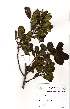  ( - Abbott9168)  @11 [ ] Unspecified (default): All Rights Reserved  Unspecified Unspecified