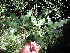  ( - Abbott9190)  @11 [ ] Unspecified (default): All Rights Reserved  Unspecified Unspecified