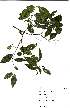  ( - Abbott9192)  @11 [ ] Unspecified (default): All Rights Reserved  Unspecified Unspecified