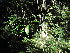  ( - Abbott9192)  @11 [ ] Unspecified (default): All Rights Reserved  Unspecified Unspecified