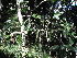  ( - Abbott9192)  @11 [ ] Unspecified (default): All Rights Reserved  Unspecified Unspecified