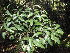  ( - Abbott9207)  @11 [ ] Unspecified (default): All Rights Reserved  Unspecified Unspecified