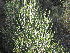  ( - Abbott9208)  @11 [ ] Unspecified (default): All Rights Reserved  Unspecified Unspecified
