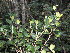  ( - Abbott9221)  @11 [ ] No Rights Reserved  Unspecified Unspecified
