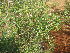  ( - Abbott9226)  @11 [ ] No Rights Reserved  Unspecified Unspecified