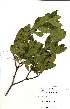  ( - Abbott9228)  @11 [ ] No Rights Reserved  Unspecified Unspecified