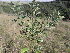  ( - Abbott9231)  @11 [ ] No Rights Reserved  Unspecified Unspecified
