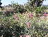  ( - Abbott9243)  @11 [ ] No Rights Reserved  Unspecified Unspecified
