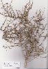  ( - AMM5719)  @11 [ ] No Rights Reserved  Unspecified Unspecified