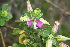  ( - BS0266)  @11 [ ] No Rights Reserved  Unspecified Unspecified