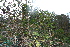  ( - BS0267)  @11 [ ] No Rights Reserved  Unspecified Unspecified