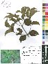  ( - Burrows11280)  @11 [ ] No Rights Reserved  Unspecified Unspecified