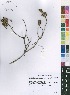  ( - Burrows12780)  @11 [ ] No Rights Reserved  Unspecified Unspecified