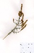  ( - DGE016-26.03.2011)  @11 [ ] No Rights Reserved  Unspecified Unspecified