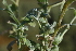  ( - DGE025-26.03.2011)  @11 [ ] No Rights Reserved  Unspecified Unspecified