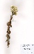  ( - DGE030-26.03.2011)  @11 [ ] No Rights Reserved  Unspecified Unspecified