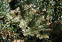 ( - DGE046-26.03.2011)  @11 [ ] No Rights Reserved  Unspecified Unspecified