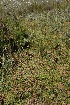  ( - DGE046-26.03.2011)  @11 [ ] No Rights Reserved  Unspecified Unspecified