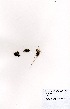  ( - DGE149-26.03.2011)  @11 [ ] No Rights Reserved  Unspecified Unspecified