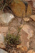  ( - DGE175-26.03.2011)  @11 [ ] No Rights Reserved  Unspecified Unspecified