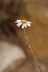  ( - DGE175-26.03.2011)  @11 [ ] No Rights Reserved  Unspecified Unspecified