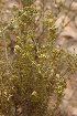  ( - DGE179-26.03.2011)  @11 [ ] No Rights Reserved  Unspecified Unspecified