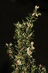  ( - DGE212-26.03.2011)  @11 [ ] No Rights Reserved  Unspecified Unspecified