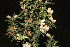  ( - DGE212-26.03.2011)  @11 [ ] No Rights Reserved  Unspecified Unspecified