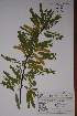  ( - Hahn2921)  @11 [ ] No Rights Reserved  Unspecified Unspecified