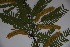  ( - Hahn2921)  @11 [ ] No Rights Reserved  Unspecified Unspecified