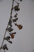  ( - K-0035)  @11 [ ] No Rights Reserved  Unspecified Unspecified