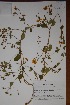  ( - K-0080)  @11 [ ] No Rights Reserved  Unspecified Unspecified
