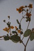  ( - K-0080)  @11 [ ] No Rights Reserved  Unspecified Unspecified