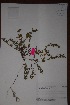  ( - K-0151)  @11 [ ] No Rights Reserved  Unspecified Unspecified