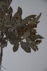  ( - K-0171)  @11 [ ] No Rights Reserved  Unspecified Unspecified