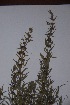  ( - K-0254)  @11 [ ] No Rights Reserved  Unspecified Unspecified