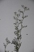  ( - K-0671)  @11 [ ] No Rights Reserved  Unspecified Unspecified