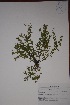  ( - K-0672)  @11 [ ] No Rights Reserved  Unspecified Unspecified